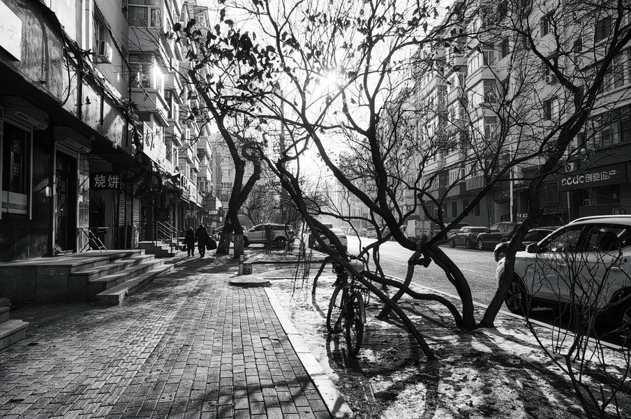 Harbin Street Scene: A Serene Day in China's Winter City