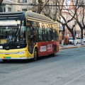 Harbin City Transit Bus