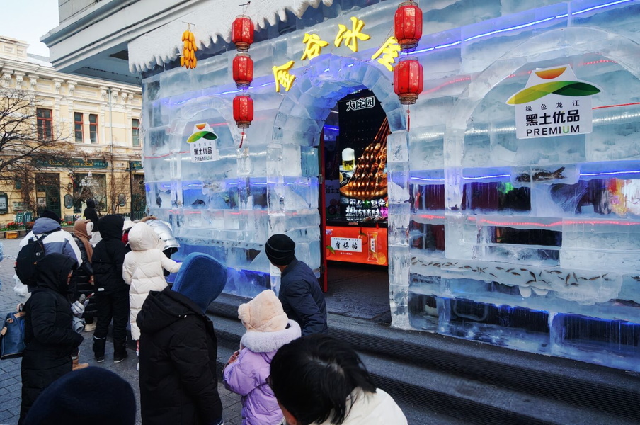 Frozen Architectural Marvel: Harbin Ice Festival