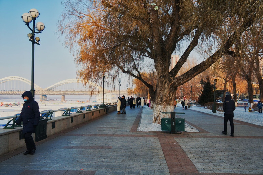 A Serene Walk Along the Riverbank on a Cold Winter Day