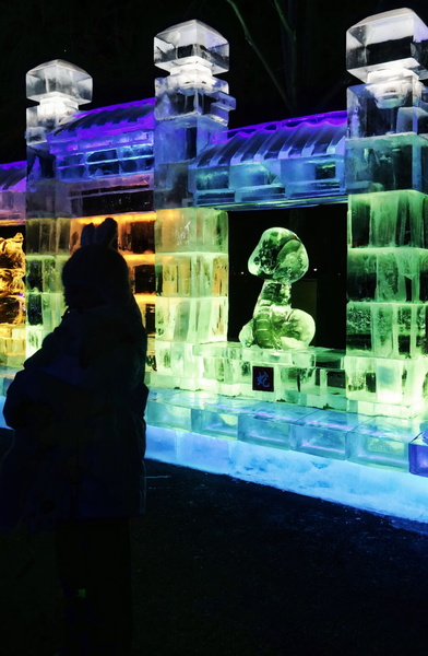 Vibrant Ice Sculptures Illuminating the Night at Harbin's Winter Festival