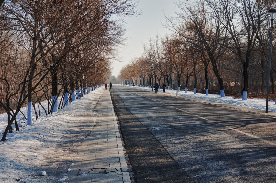 Harbin, China - A Peaceful City Walk on a Sunny Winter Day