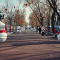 Harbin Ice and Snow Festival: A Festive Winter Scene with Unusual Decorations