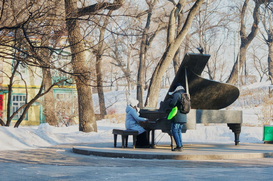 Serene Winter Concert in the Park