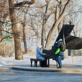 Serene Winter Concert in the Park