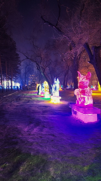 Harbin Ice and Snow Sculpture Festival - Night Vista