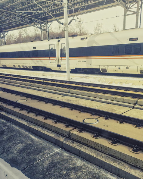A Moment of Stillness in a Train Station
