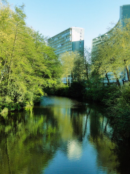 Serene Rural Stream with Buildings in the Background