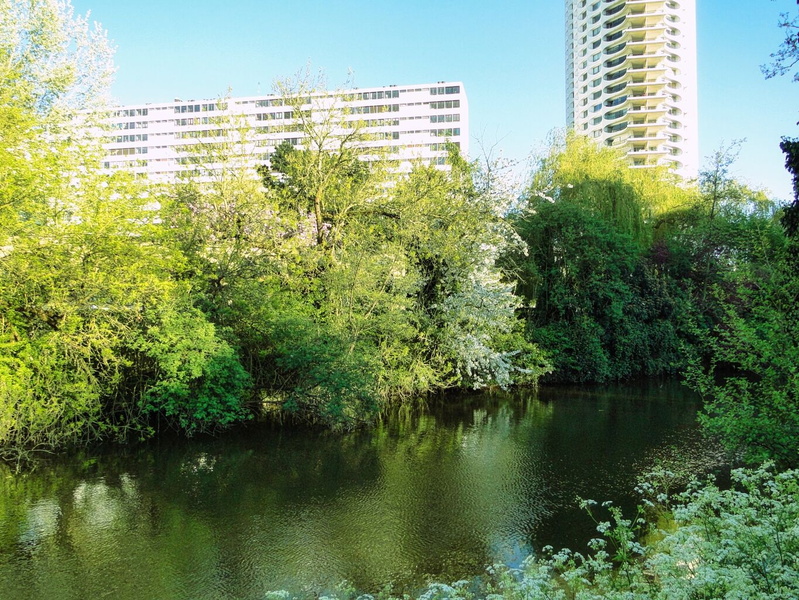 Serene Daylight Scene: A French Riverbank