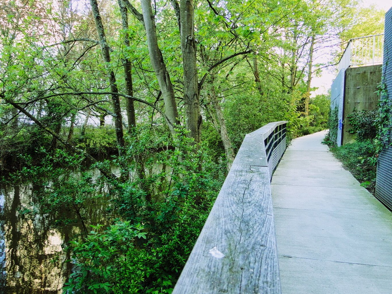 Serene Boardwalk in the Rennes Region, France