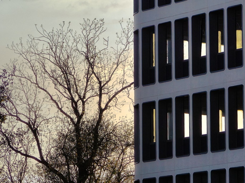 Silhouetted High-Rise against the Dusk Sky