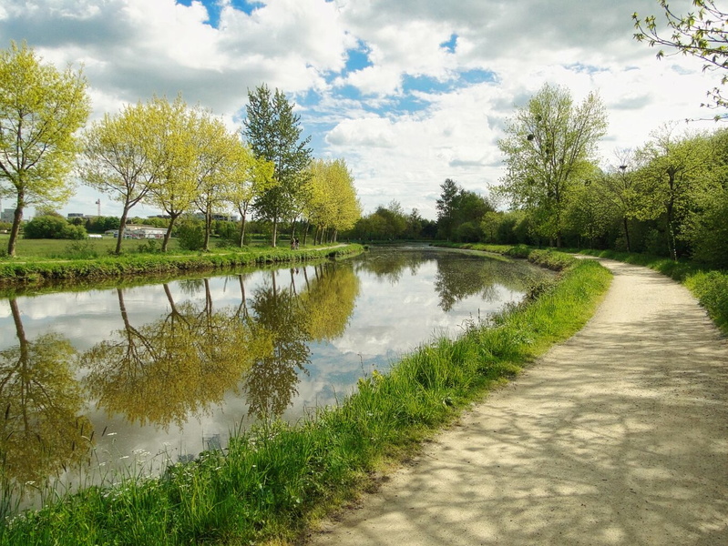 Tranquil Rural Path Along a Canal
