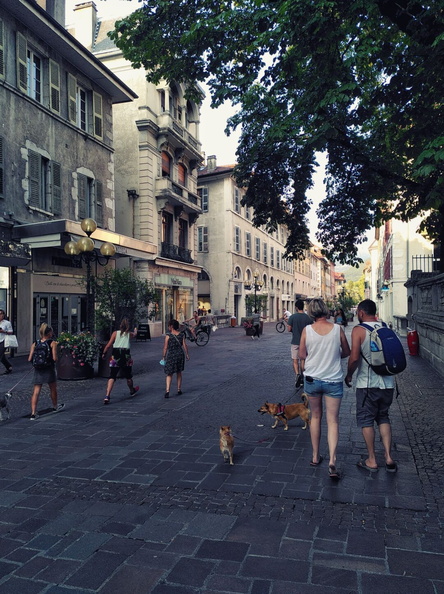 A Lively Scene in the Heart of Annecy, France