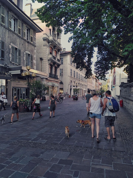 A Lively European Street