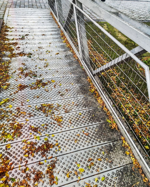 Autumn in Paris: Rainy Day on the Walkway