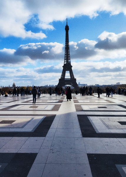 Parisian Eiffel Tower Panorama