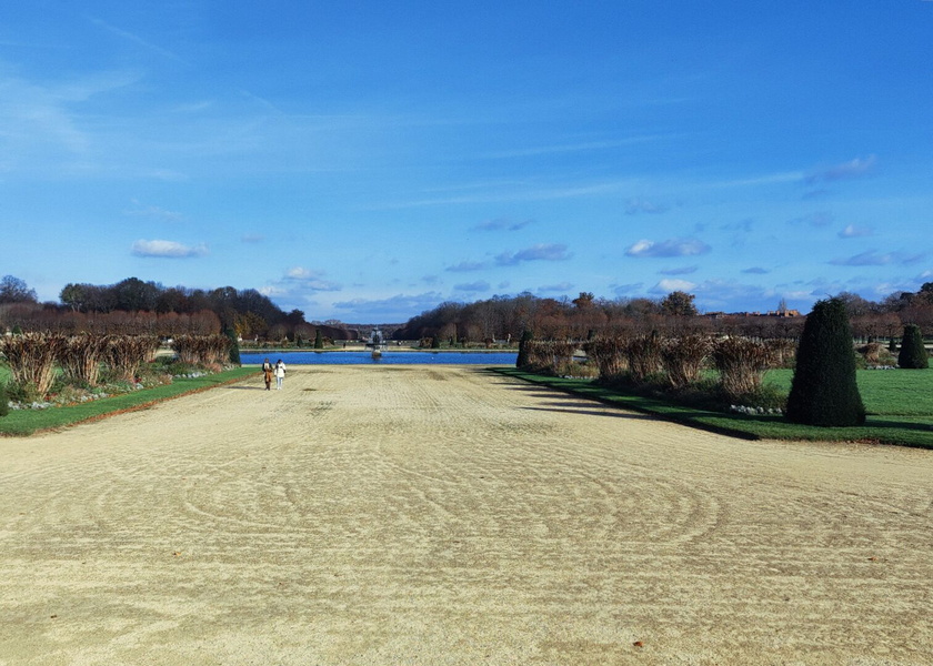 A Serene Park Path