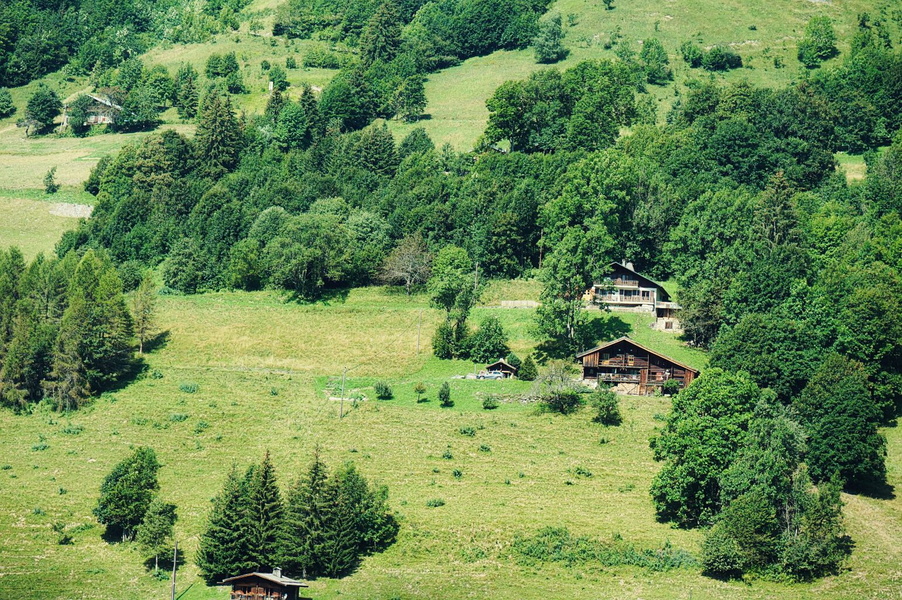 Rural Scene: Village with Houses Amidst Green Fields