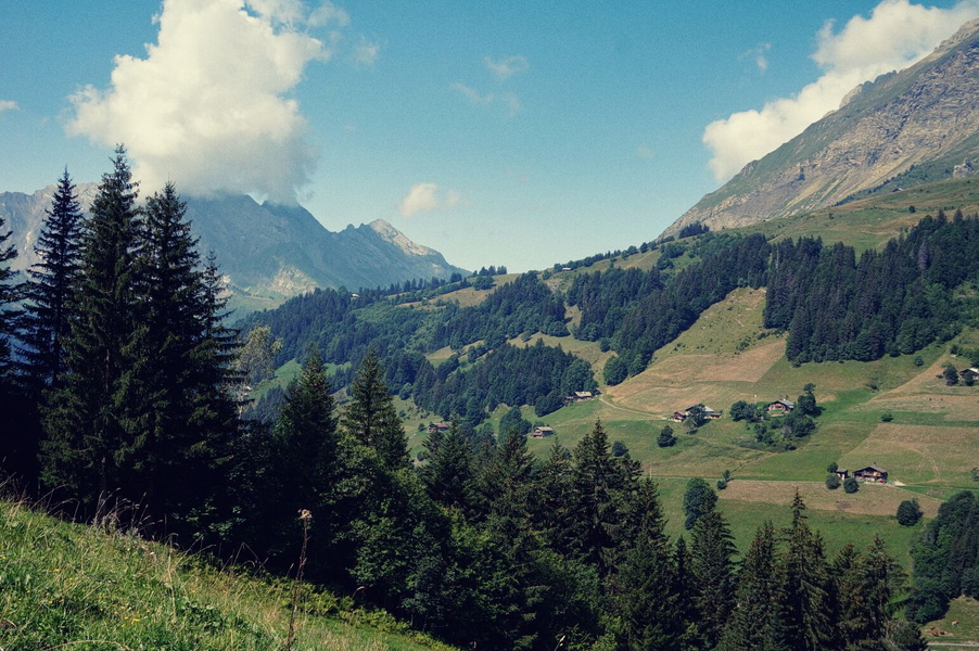 Serene Alpine Village Nestled in a Valley