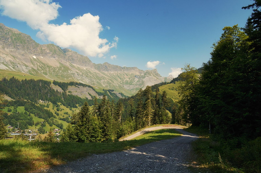 Serene Alpine Path Leading to Majestic Mountain Views