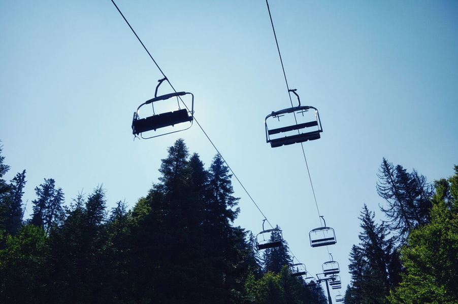 Aerial View of Ski Lifts Amidst Tall Pine Trees