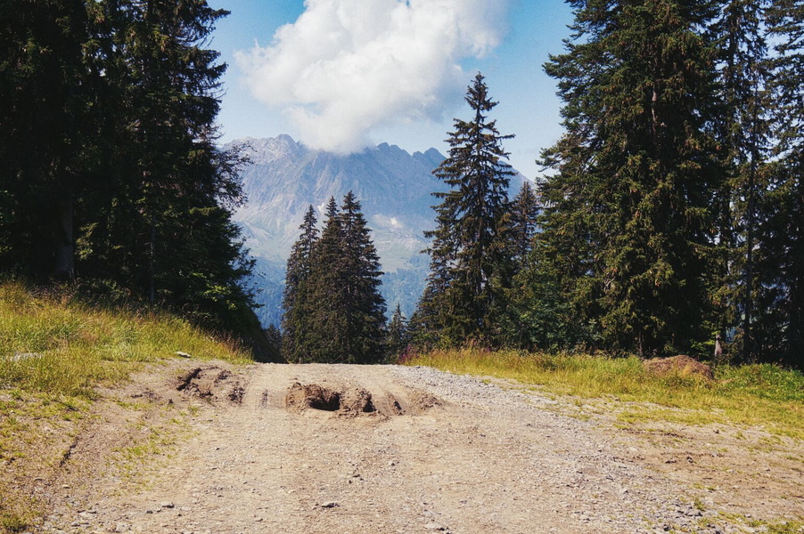 Alpine Forest Road in La Gietaz, France