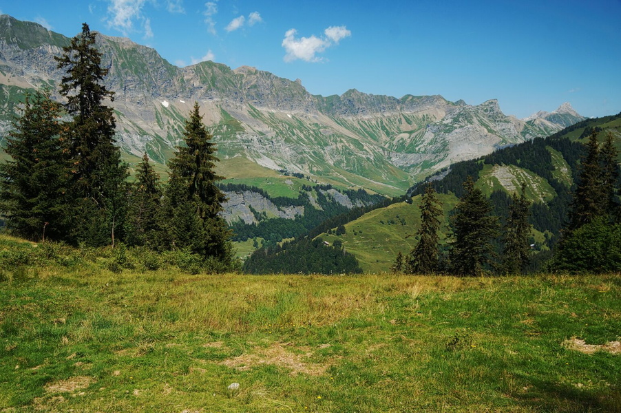 Serene Alpine Valley in Switzerland