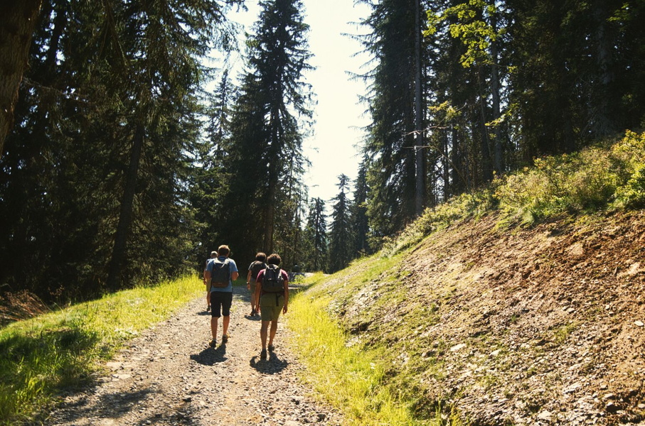 A Hike in the French Alps