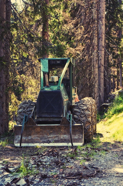 A Workday in the Woods: The Power of Machinery for Forestry Tasks