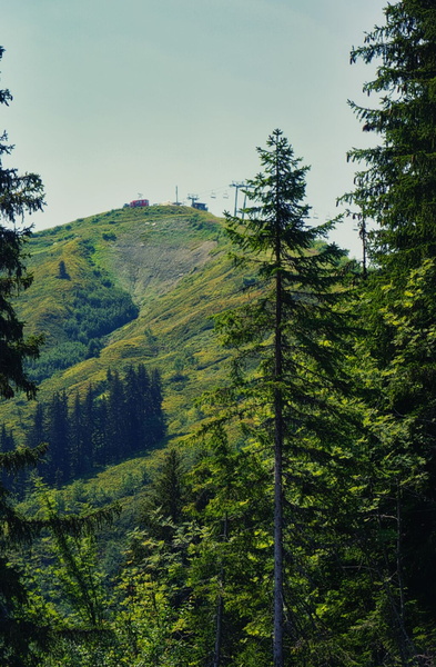 Serene Alpine Mountain View