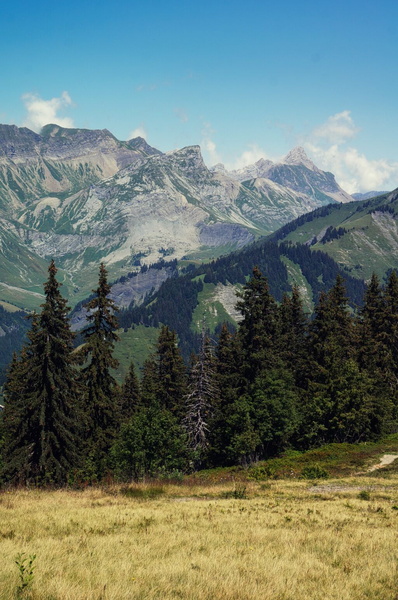 Serene Alpine Landscape: A picturesque view overlooking mountains and lush greenery
