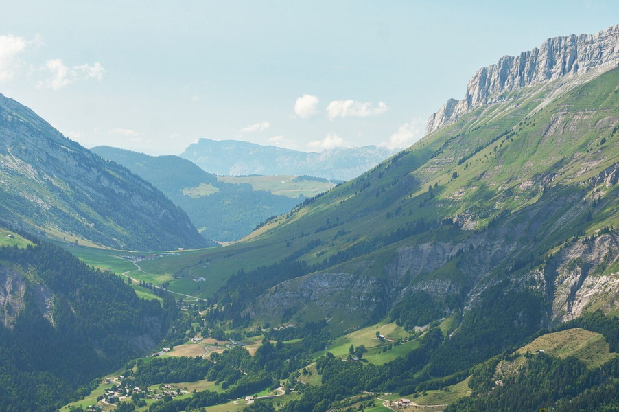 Serene Alpine Valley with Vibrant Wildlife