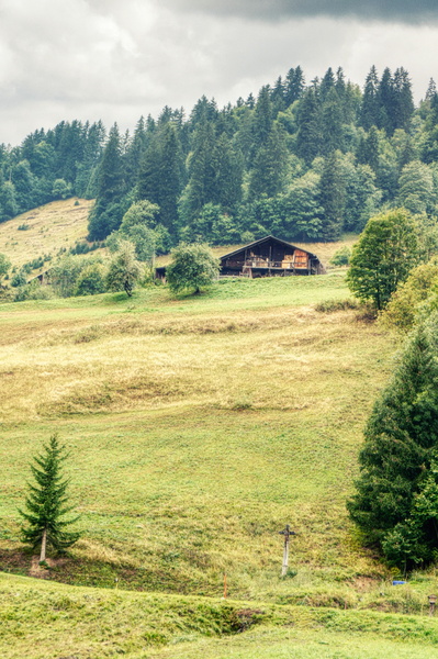 Serene Rural Scene