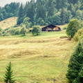 Serene Rural Scene