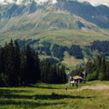 Serene Alpine Village with Majestic Mountains
