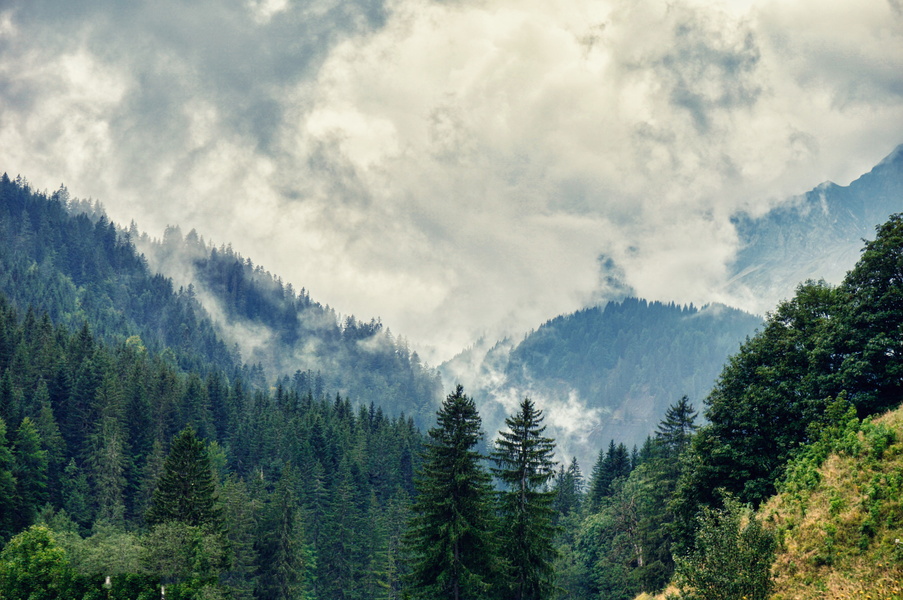 Serene Mountain View