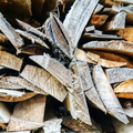 Wood Pile - La Gietaz, France