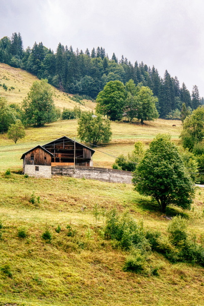 Serene Pastoral Scene: La Gietaz, France