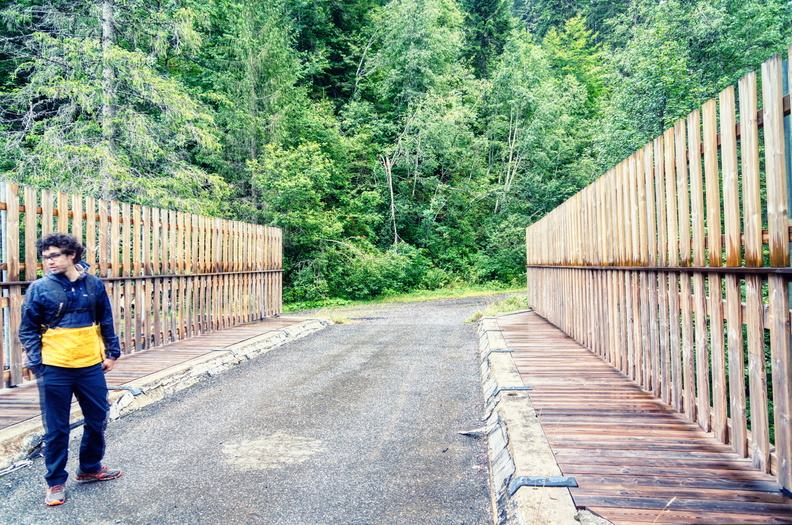 A Tranquil Stroll Across a Wooden Bridge in the Woods