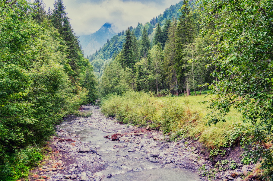 Serene Forested Riverbank in La Gietaz, France