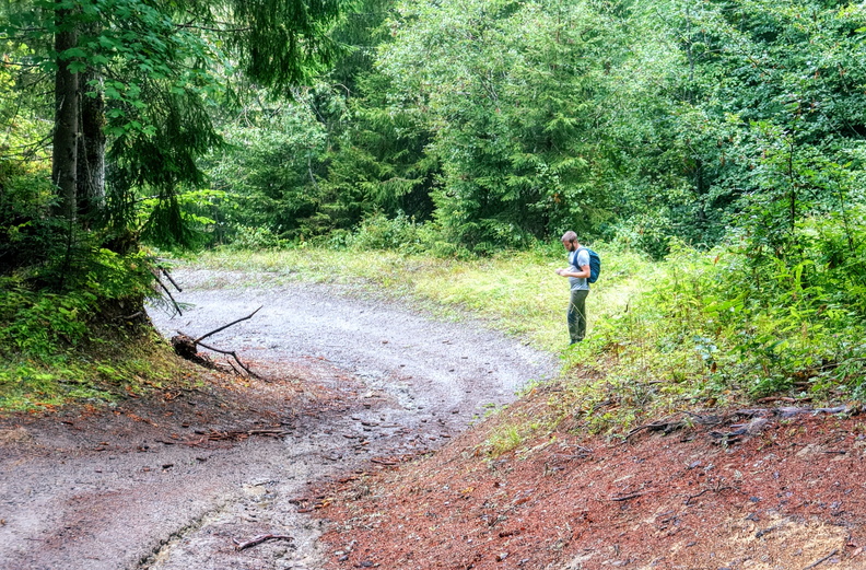 A Hiker on a Damp Trail in the Wilderness