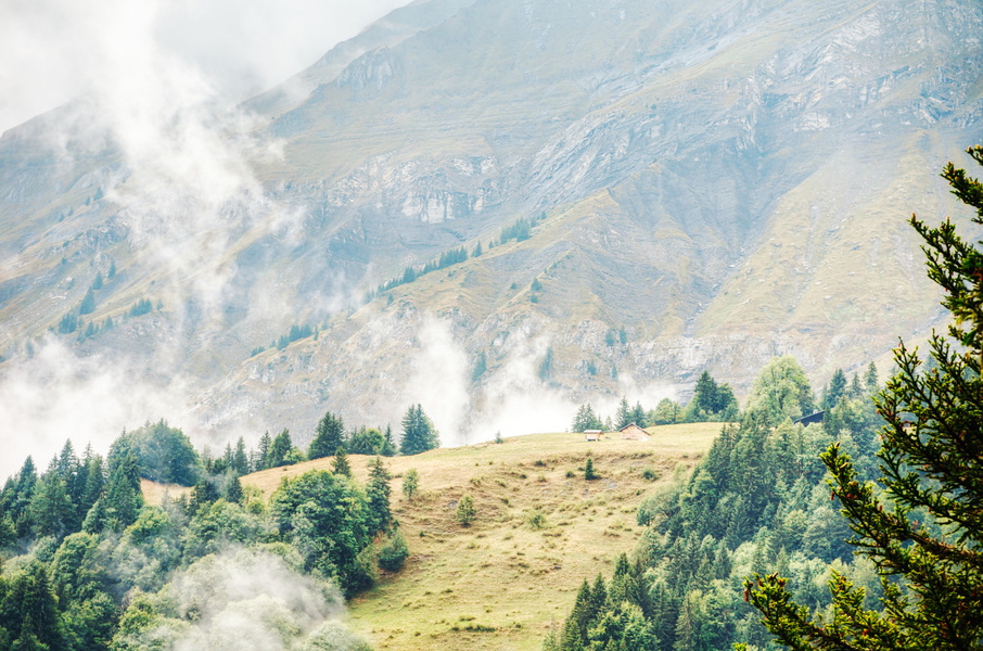 Aerial View: Tranquil Alpine Valley and Pasture