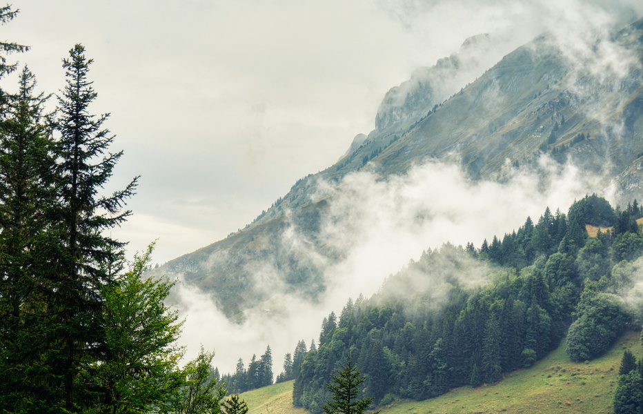 Serene Cloudy Day in the Alps