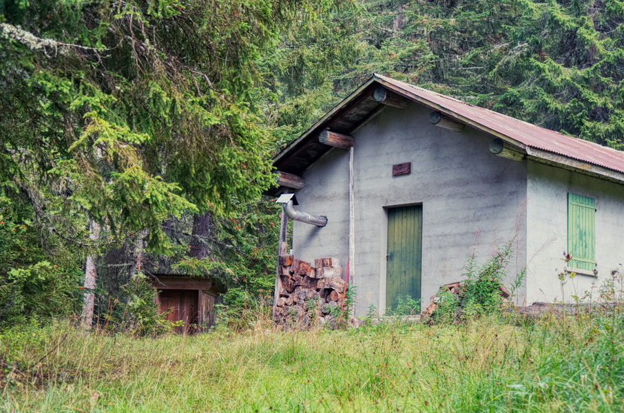 A Secluded Shed Amidst the Trees in the French Countryside