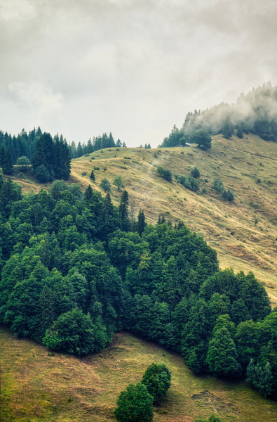 Serene Alpine Landscape