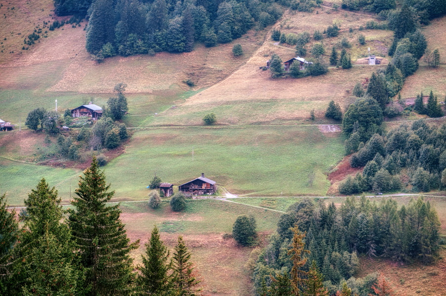 Peaceful Countryside: A View from Above