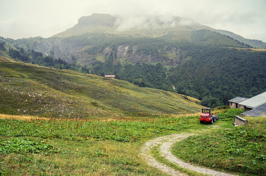 Serene Alpine Landscape