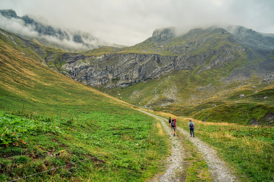 Serene Hike in the Alps: A Path Leads to Majestic Mountain Peaks