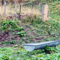 Secluded Garden Scene
