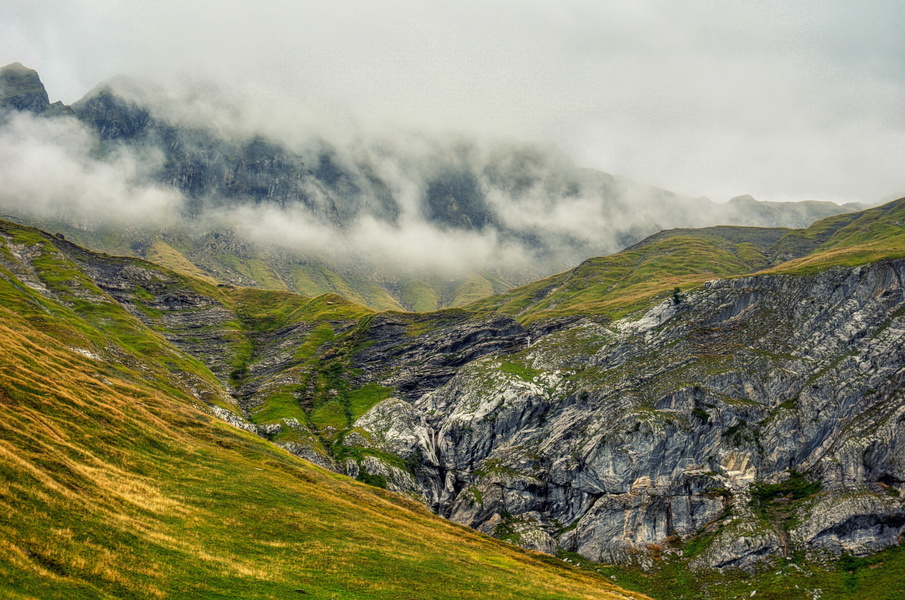 Serene Mountains Shrouded in Fog